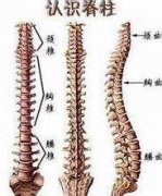 成天痛风风湿医院提醒强直患者：这些医院不要去！